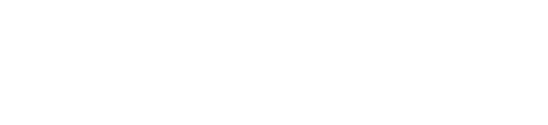 RewardLion Business Solutions
